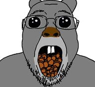 bernd chewing chewing_nuts gif grey grey_squirrel nuts omgsisa // 1106x1012 // 283KB