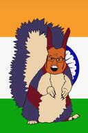 beige blue country exotic flag flag:india india orange punjab purple red squirreljak // 340x512 // 55KB