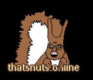 banner hands logo nutty pixel_art squarty squirrel squirrely thatsnuts.online // 162x138 // 2.1KB