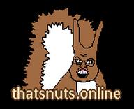 banner logo nutty pixel_art squarty squirrel squirrely thatsnuts.online // 153x124 // 2.0KB